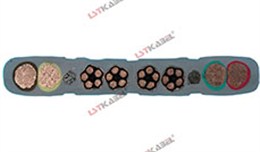 特種行車電纜 特種行車電纜