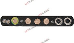 行車電纜(帶鋼絲) 行車電纜(帶鋼絲)