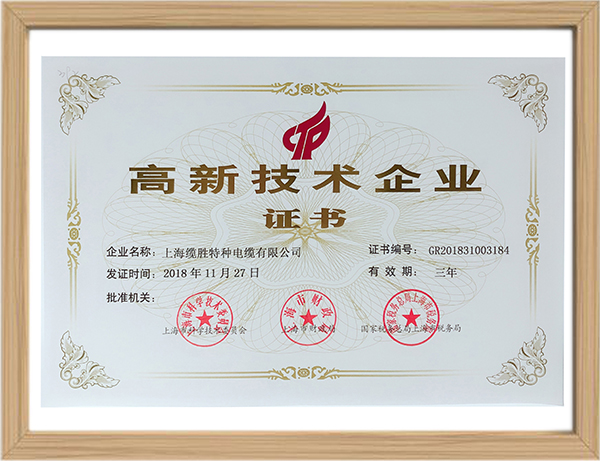 上海市高新技術企業證書 上海市高新技術企業證書